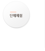 단체체험